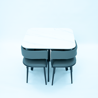DINING TABLE (LT-9) TABLE TOP, GREY CHAIR & CHAIR LEG