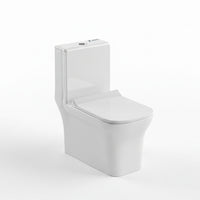 Landtech Phantom LT-101 One-Piece Dual Flush Toilet (WC) | Soft-Close Seat | P-Trap Wall Outlet